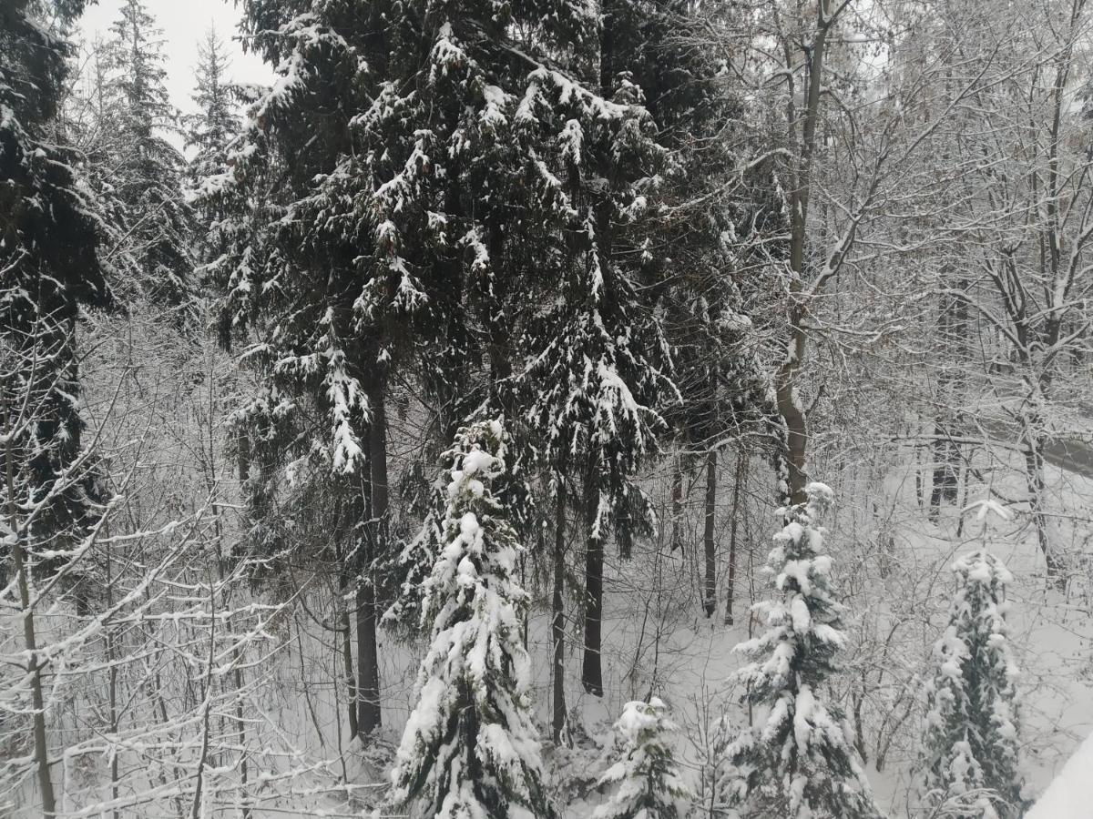 Apartamenty Krokiew Zakopane Dış mekan fotoğraf