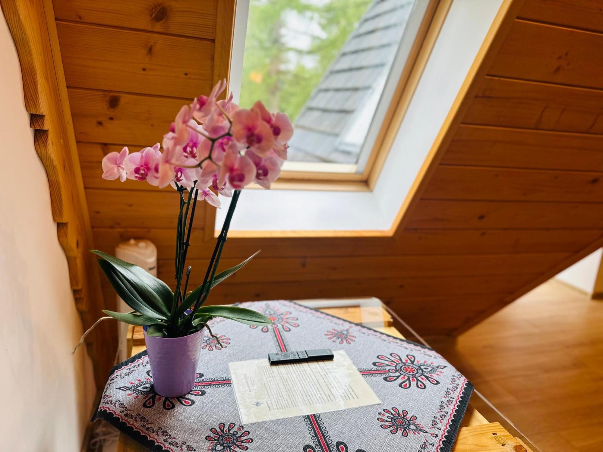 Apartamenty Krokiew Zakopane Dış mekan fotoğraf